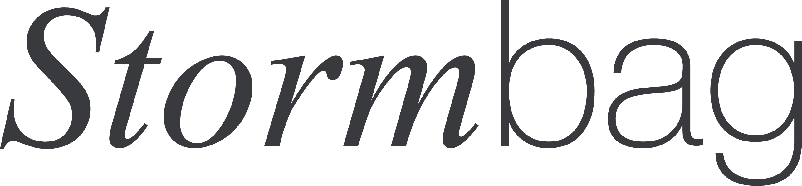 StormBag Logo