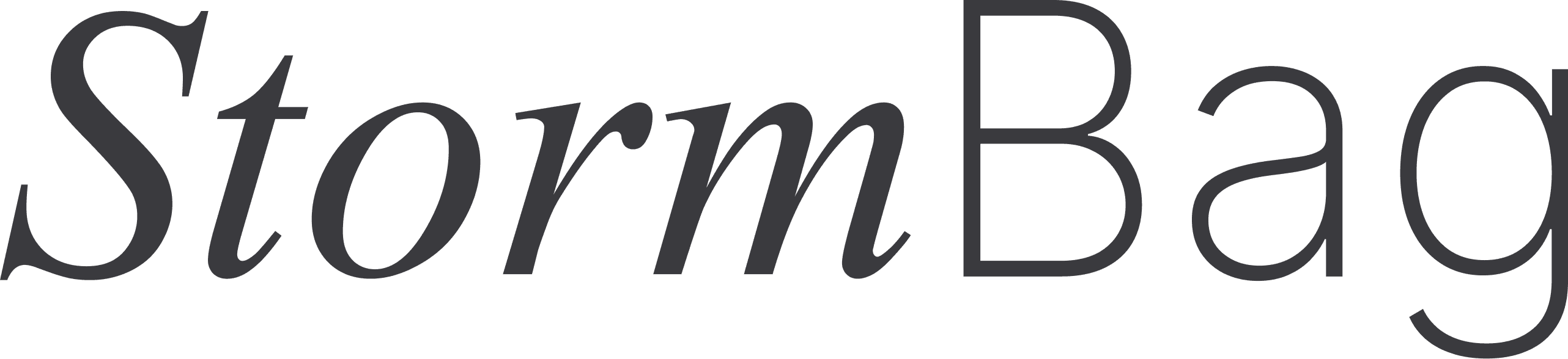 StormBag Logo
